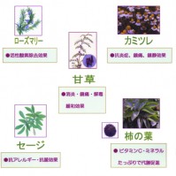 <b style="color:red;">~『東洋の医学』と『化学』の融合~</b>
<b>特徴</b> (厚生労働省認可医薬部外品)
○パーマに影響がない ○ソフトな仕上がり
○柔らかなハリ・コシ ○色ムラがない
○頭皮にやさしい ○刺激臭がない
○ツヤが出る ○ダメージがない
<b>効能</b>
<b style="color:red;">血行促進・皮膚活性化・抗菌・抗酸化・老化防止・毛根洗浄・育毛</b>などの働きがある<b>漢方</b>です
<b style="color:red;">~『東洋の医学』と『化学』の融合~</b>
<b>特徴</b> (厚生労働省認可医薬部外品)
○パーマに影響がない ○ソフトな仕上がり
○柔らかなハリ・コシ ○色ムラがない
○頭皮にやさしい ○刺激臭がない
○ツヤが出る ○ダメージがない
<b>効能</b>
<b style="color:red;">血行促進・皮膚活性化・抗菌・抗酸化・老化防止・毛根洗浄・育毛</b>などの働きがある<b>漢方</b>です