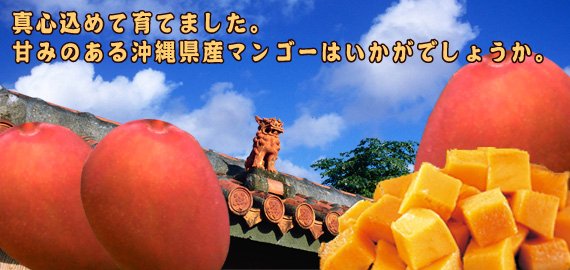 沖縄本東南部糸満市に伊敷畑の農園があり、潮風や陽のあたる場所に立地しています。この大地に育った野菜や果実を親子2代で育てた味をみなさまのご家庭に。