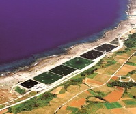 久米島エビ養殖場の所在地