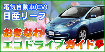 電気自動車(EV)日産リーフで走る沖縄エコドライブ！