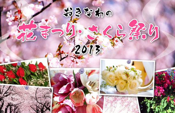 タウンネット 2013年！花満開！花祭り・さくら祭り情報!