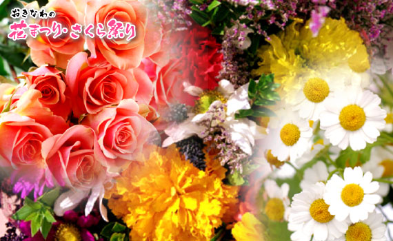 2013年！花満開！花祭り・さくら祭り情報!