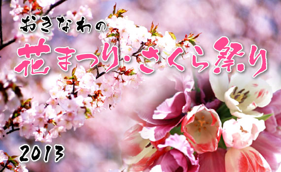 2013年！花満開！花祭り・さくら祭り情報!