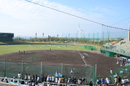 プロ野球 沖縄春季キャンプ 2013！の練習風景