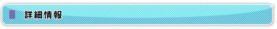 詳細情報