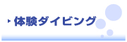Dive KO★BE 　ダイブ コーヴィー