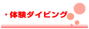 Dive KO★BE 　ダイブ コーヴィー