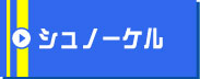 沖縄ダイビングショップSea Free（シーフリー）