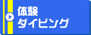 沖縄ダイビングショップSea Free（シーフリー）