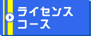 沖縄ダイビングショップSea Free（シーフリー）