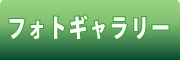 カフェ やぶさち　（公式ホームページ）