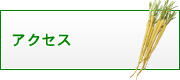 有限会社　山元商店