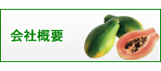 有限会社　山元商店