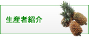 有限会社　山元商店