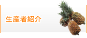 有限会社　山元商店