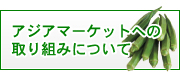 有限会社　山元商店