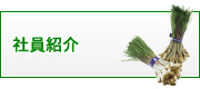 有限会社　山元商店