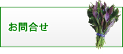 有限会社　山元商店