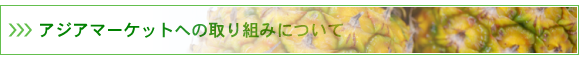 有限会社　山元商店
